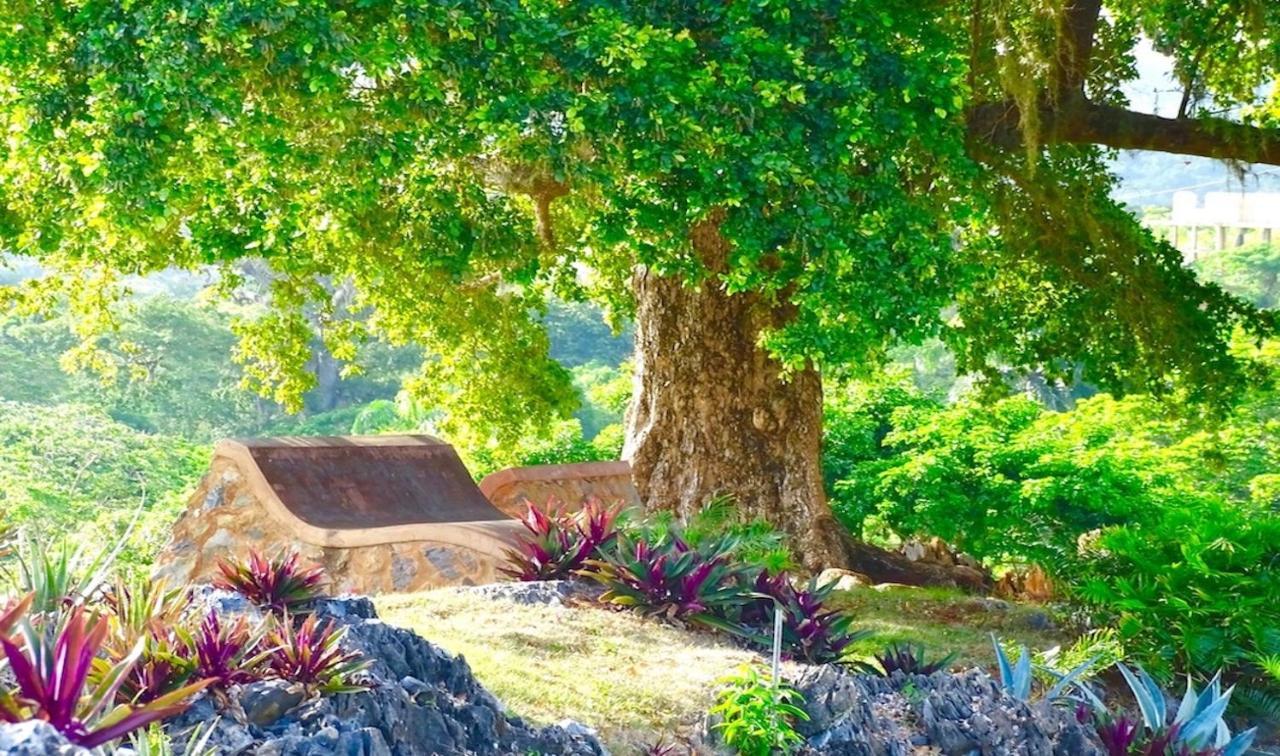 Las Galeras Village Ecolodge Exterior foto